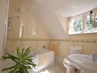 Picture 17
